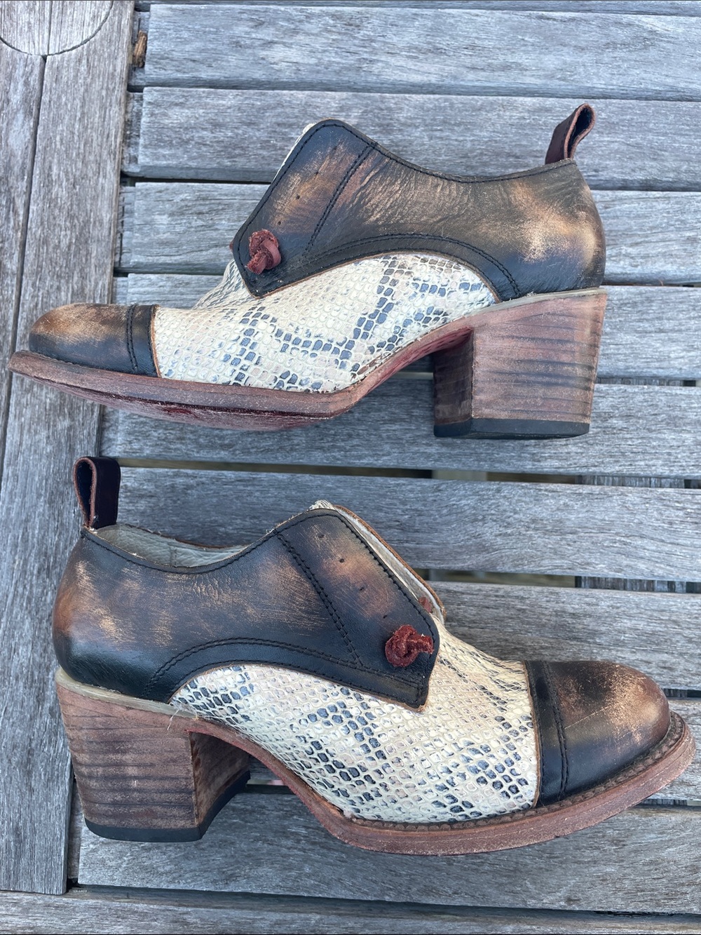 Freebird by Steven Sz 8 Catalina Brown & Cream Snake-Print Leather Heeled Oxford - Picture 10 of 15